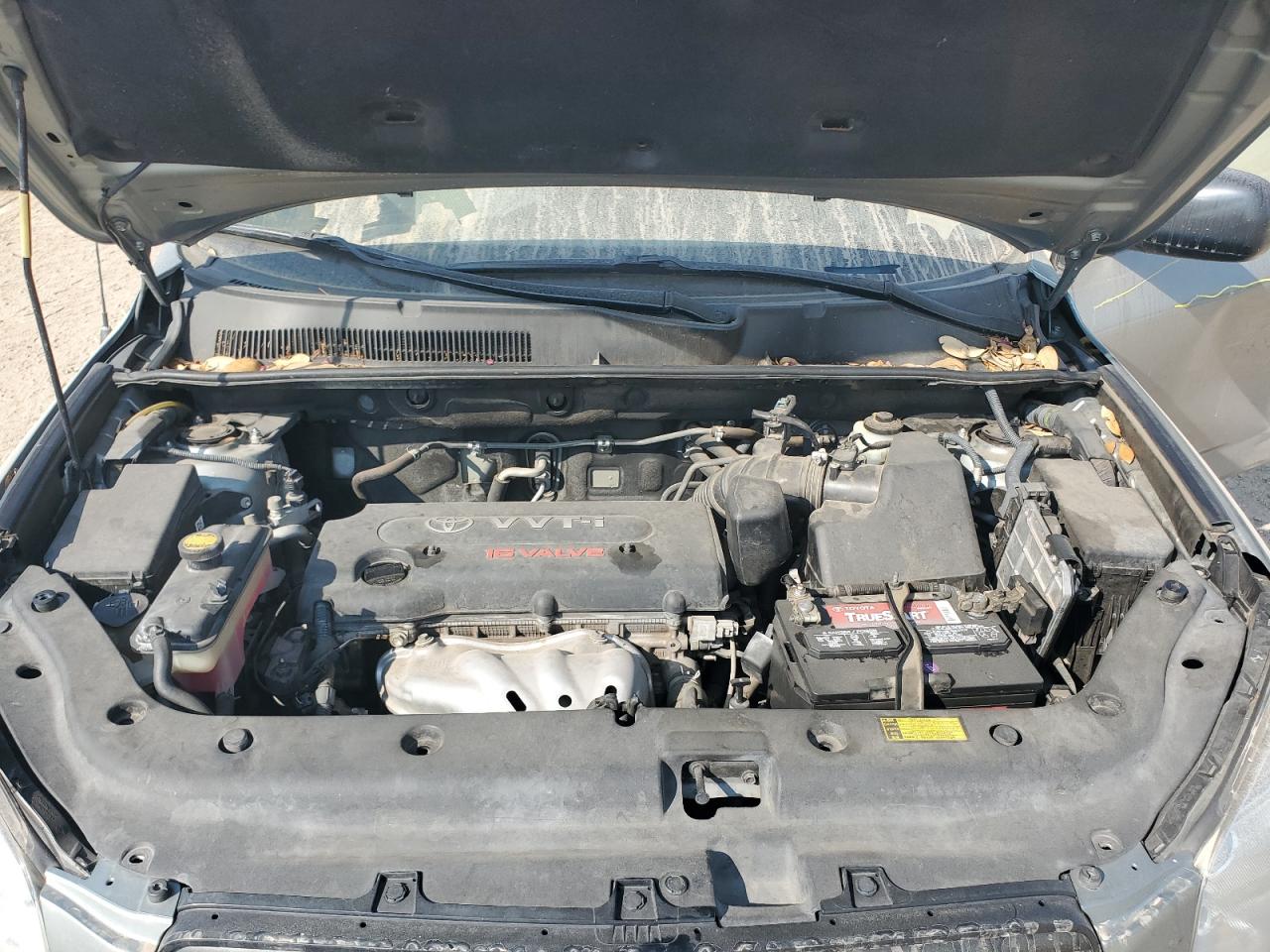 JTMZD33V876029869 2007 Toyota Rav4