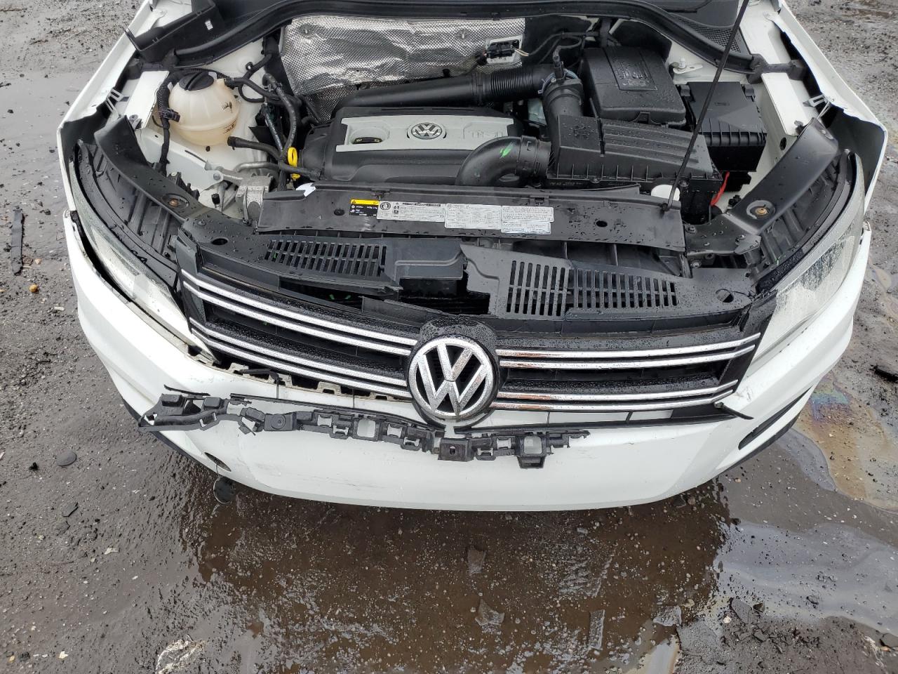 2017 Volkswagen Tiguan S VIN: WVGBV7AX5HK017869 Lot: 72956284