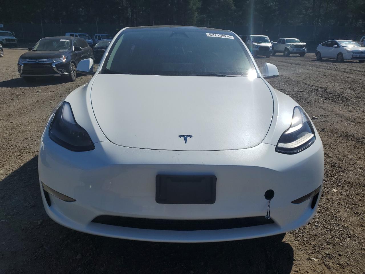 2024 Tesla Model Y VIN: 7SAYGDEE5RF047147 Lot: 69719424