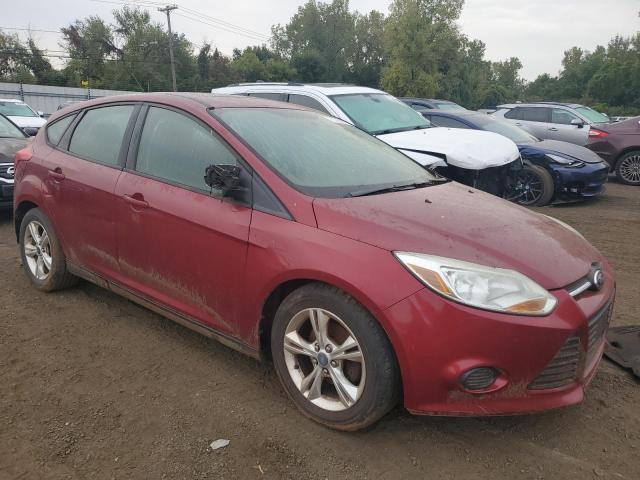  FORD FOCUS 2013 Бургунди