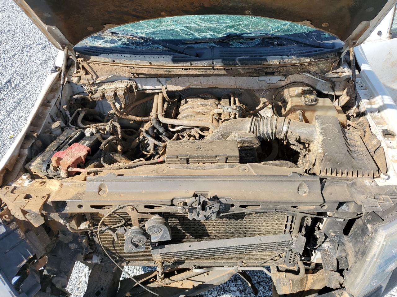 2013 Ford F-150 - Image 11