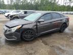 2015 Hyundai Sonata Se за продажба в Harleyville, SC - Front End
