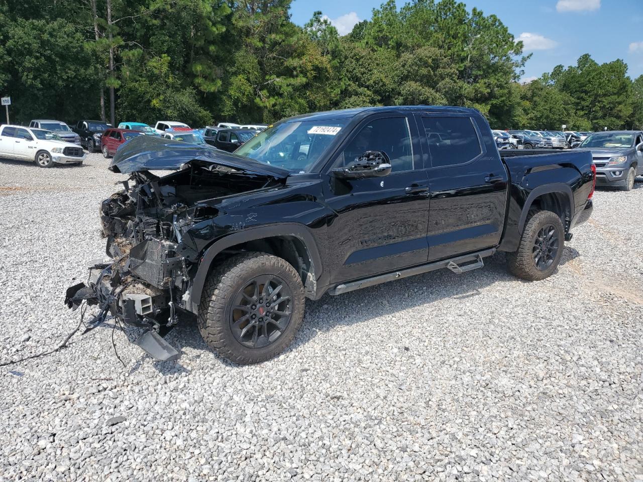 5TFLA5DB2RX203236 2024 Toyota Tundra Crewmax Sr