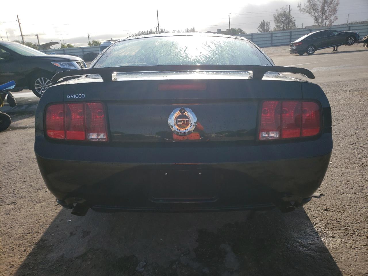 2009 Ford Mustang Gt VIN: 1ZVHT82H695123844 Lot: 70876514