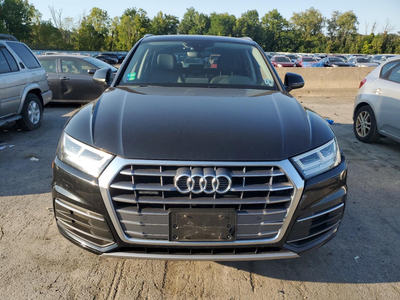 2020 Audi Q5 Premium Plus VIN: WA1BNAFY9L2059662 Lot: 70248864