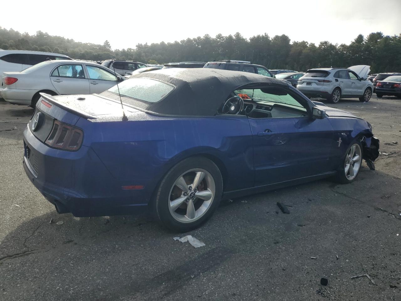 1ZVBP8EM8D5223035 2013 Ford Mustang