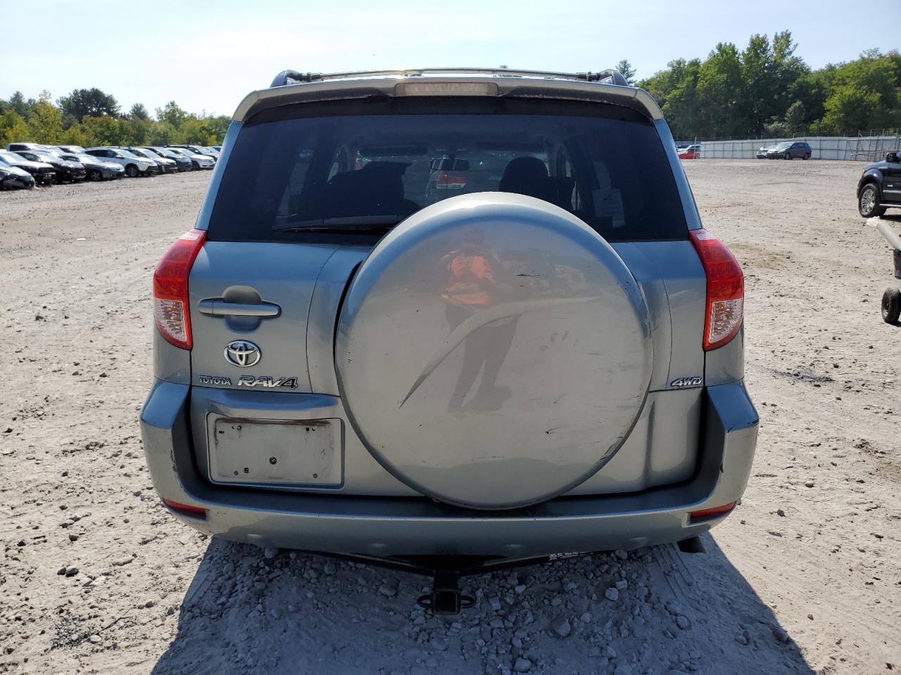 2007 Toyota Rav4 Limited VIN: JTMBK31V675022905 Lot: 70564064