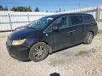 2013 HONDA ODYSSEY EXL à vendre chez Copart AB - EDMONTON