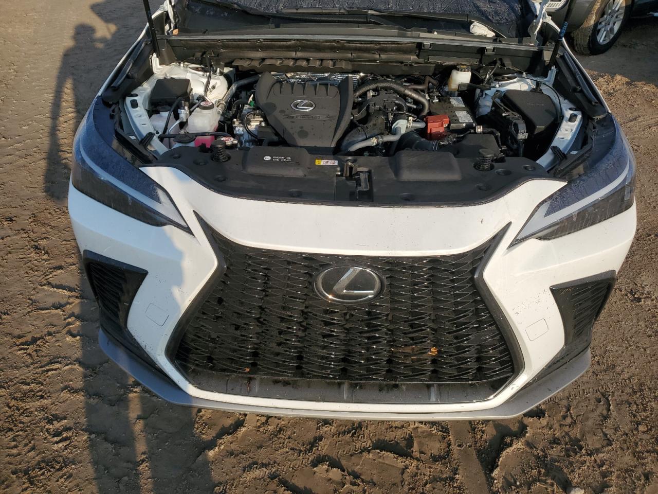 2024 Lexus Nx 350 Luxury VIN: 2T2KGCEZ9RC050651 Lot: 73614934