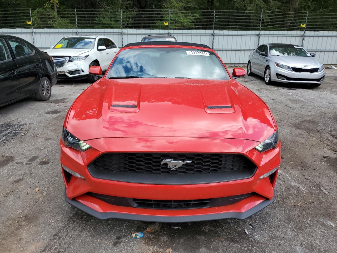 2019 Ford Mustang VIN: 1FATP8UHXK5182020 Lot: 71373844