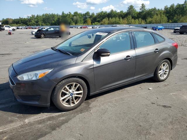  FORD FOCUS 2016 Gray