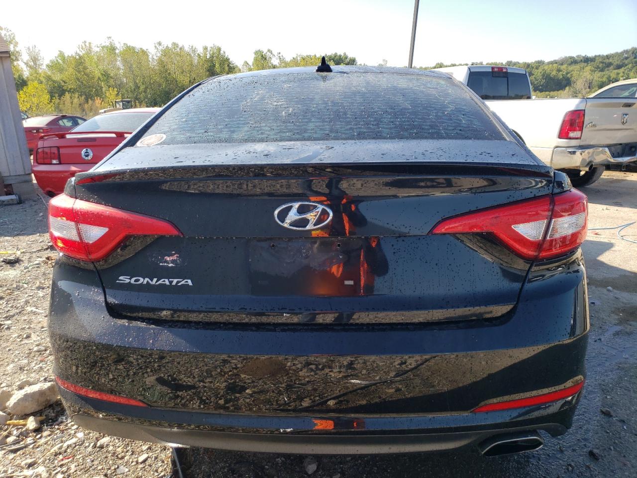 5NPE24AF7GH338907 2016 Hyundai Sonata Se