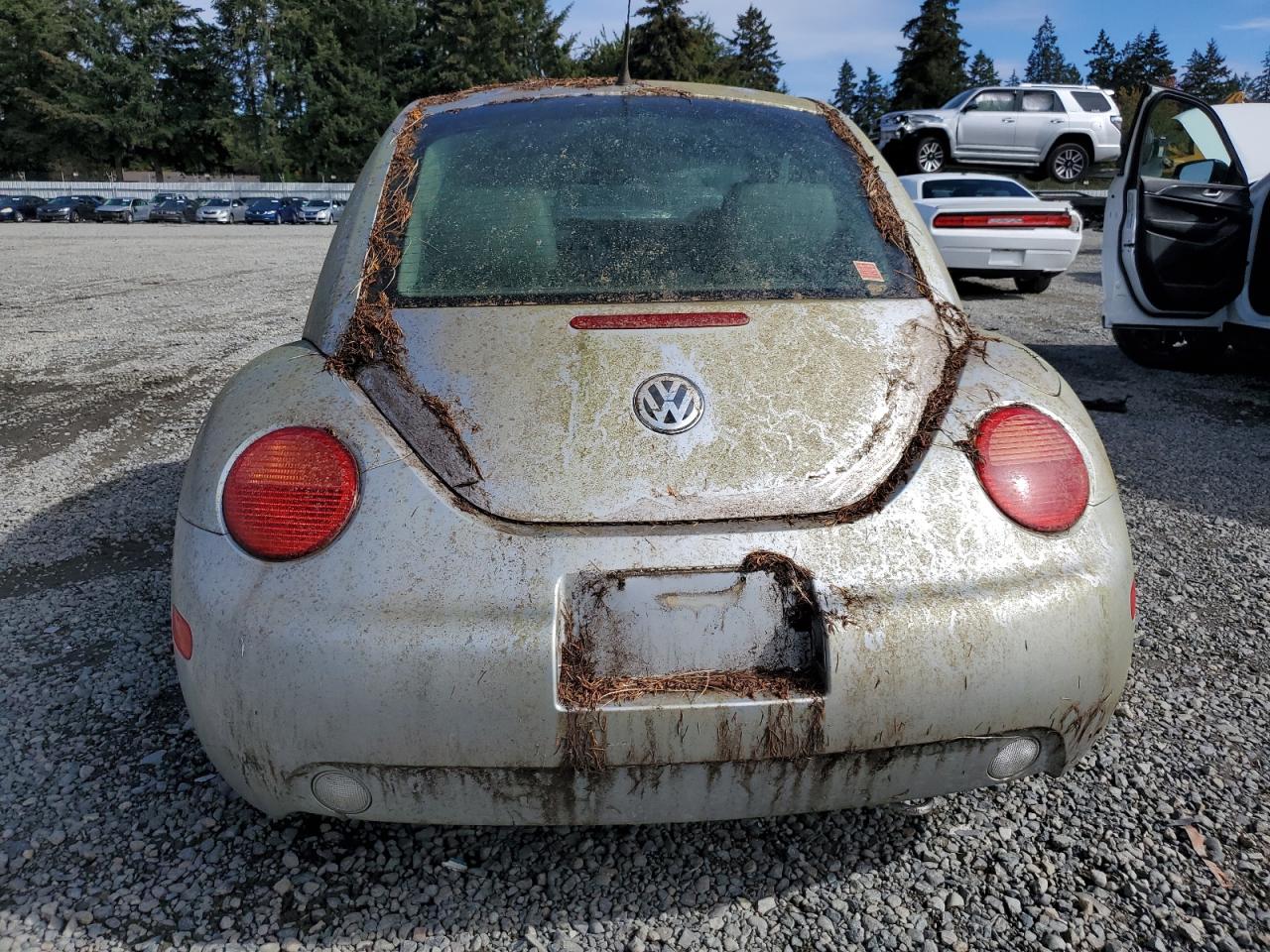 2004 Volkswagen New Beetle Gls VIN: 3VWCK31C74M423644 Lot: 73349914