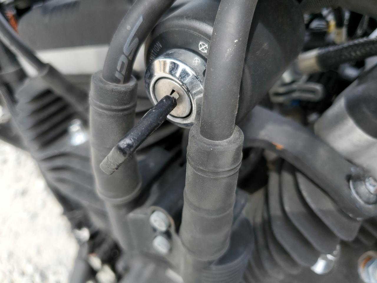 2014 Harley-Davidson Xl883 Iron 883 VIN: 1HD4LE213EC442383 Lot: 71234534