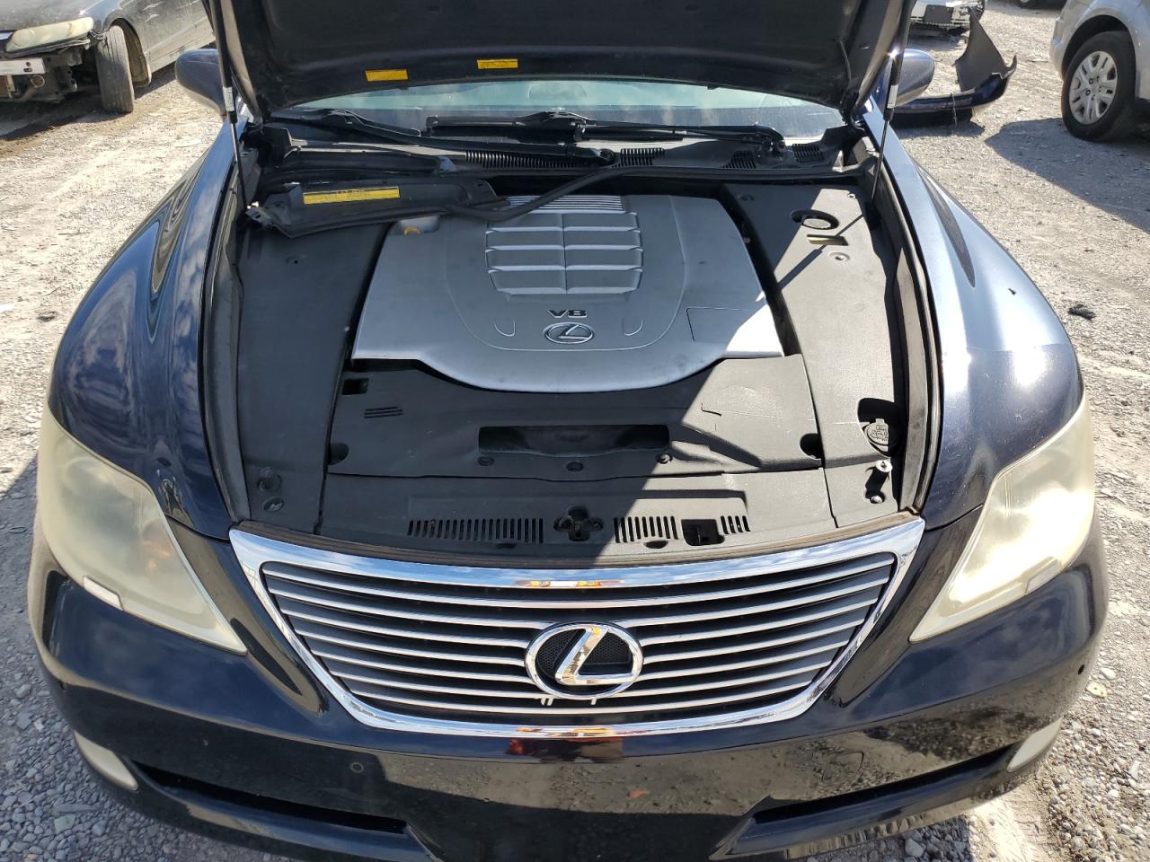 2009 Lexus Ls 460 VIN: JTHCL46F495003876 Lot: 71235554