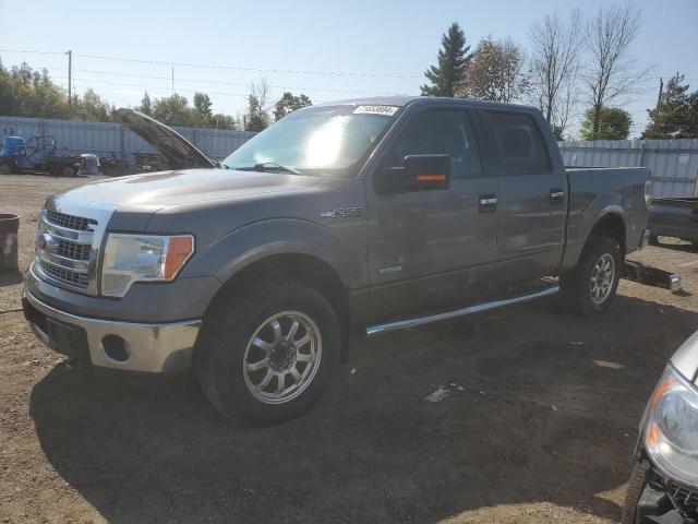 2013 Ford F150 Supercrew na sprzedaż w Bowmanville, ON - Burn