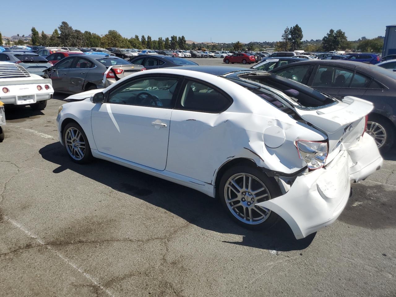 2007 Toyota Scion Tc VIN: JTKDE177270217824 Lot: 69970824