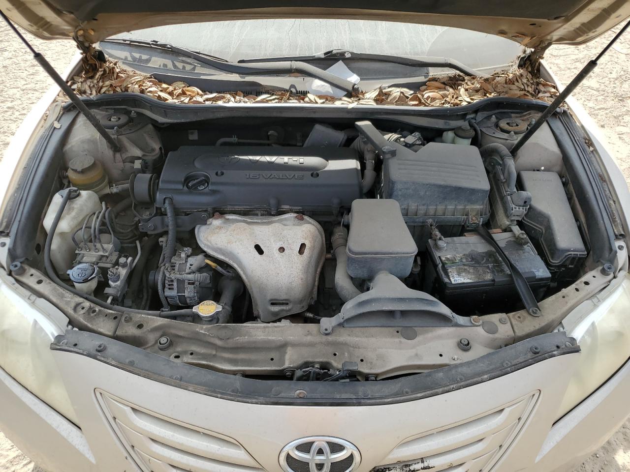 4T1BE46K47U003119 2007 Toyota Camry Ce