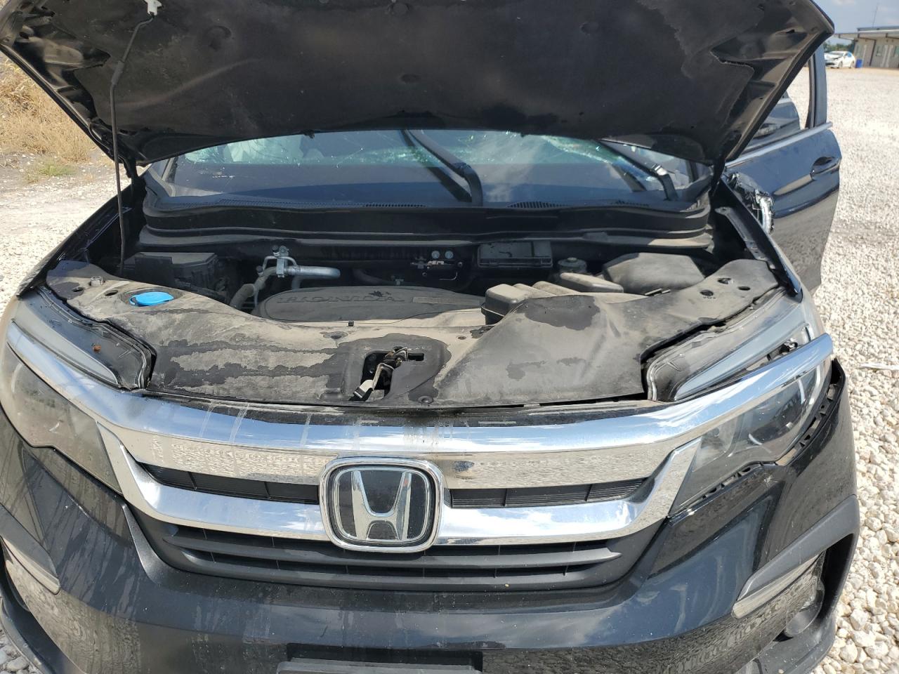 2020 Honda Pilot Exl VIN: 5FNYF6H53LB061904 Lot: 72625934