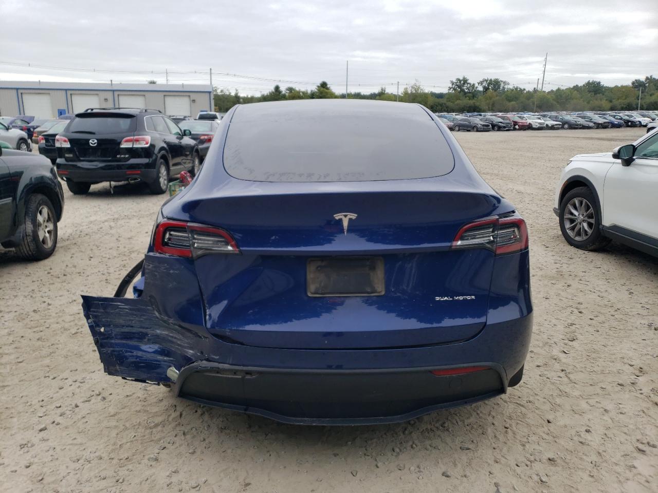 2020 Tesla Model Y VIN: 5YJYGDEE7LF006488 Lot: 73006654