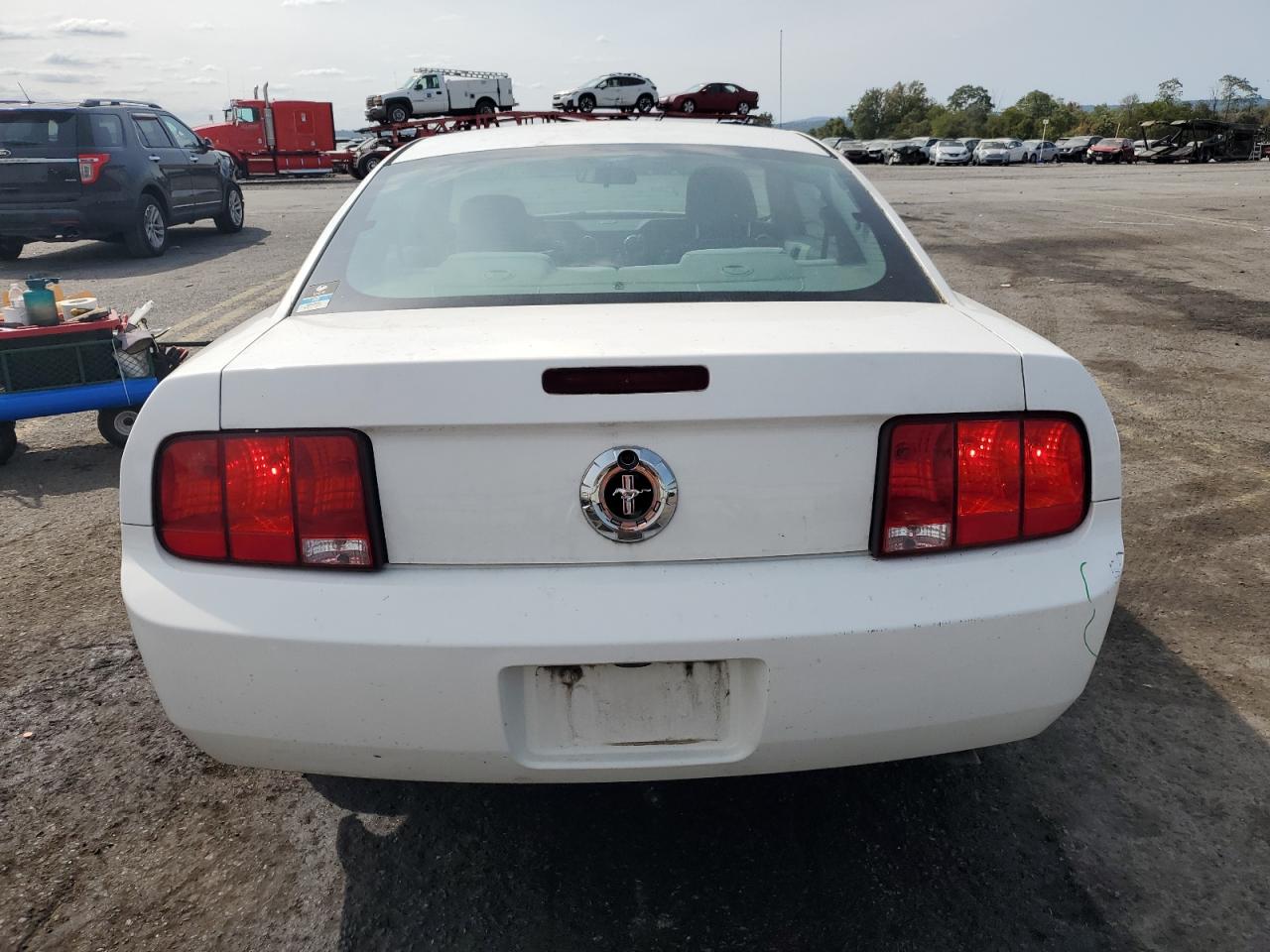 2005 Ford Mustang VIN: 1ZVFT80N155178535 Lot: 71686714