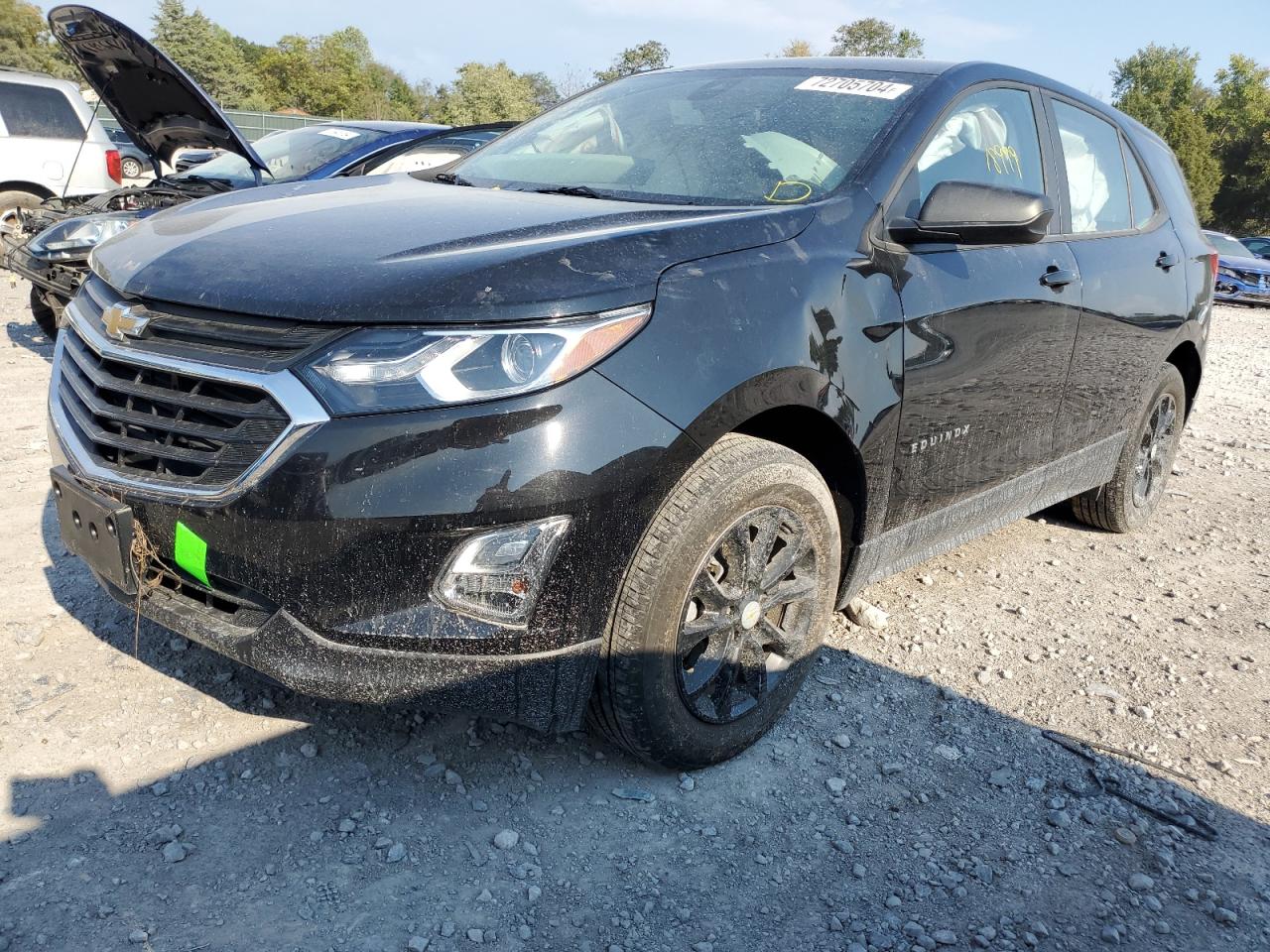 2020 Chevrolet Equinox Ls VIN: 2GNAXHEV9L6254084 Lot: 72705704