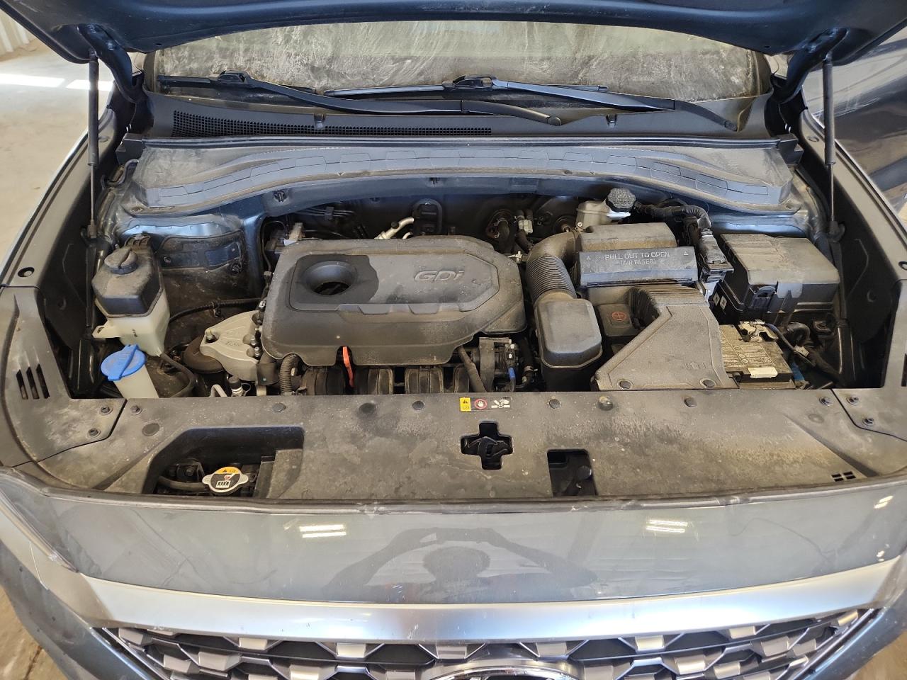 2020 Hyundai Santa Fe Sel VIN: 5NMS3CAD7LH204317 Lot: 81806755