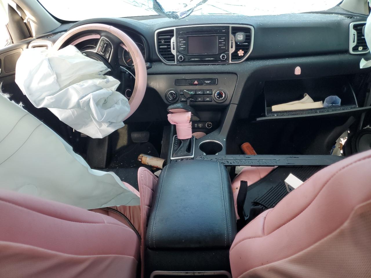 2019 Kia Sportage Lx VIN: KNDPM3AC2K7624244 Lot: 80784695