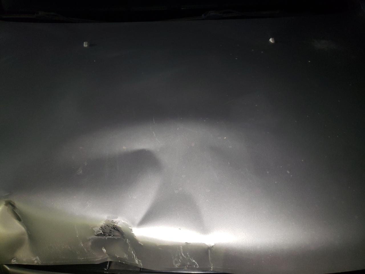 2007 Honda Pilot Exl VIN: 5FNYF28697B024041 Lot: 84845775