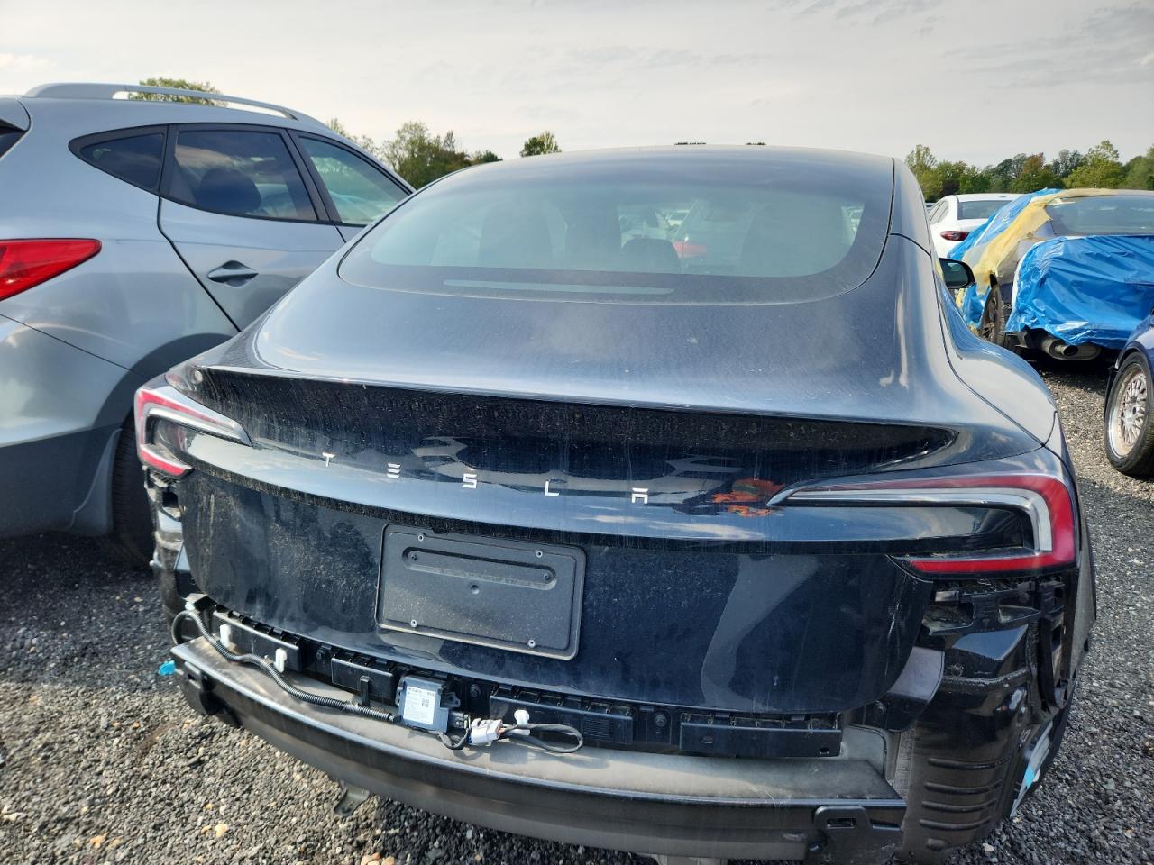 2020 Tesla Model 3 VIN: 5YJ3E1EA4LF504983 Lot: 71666675