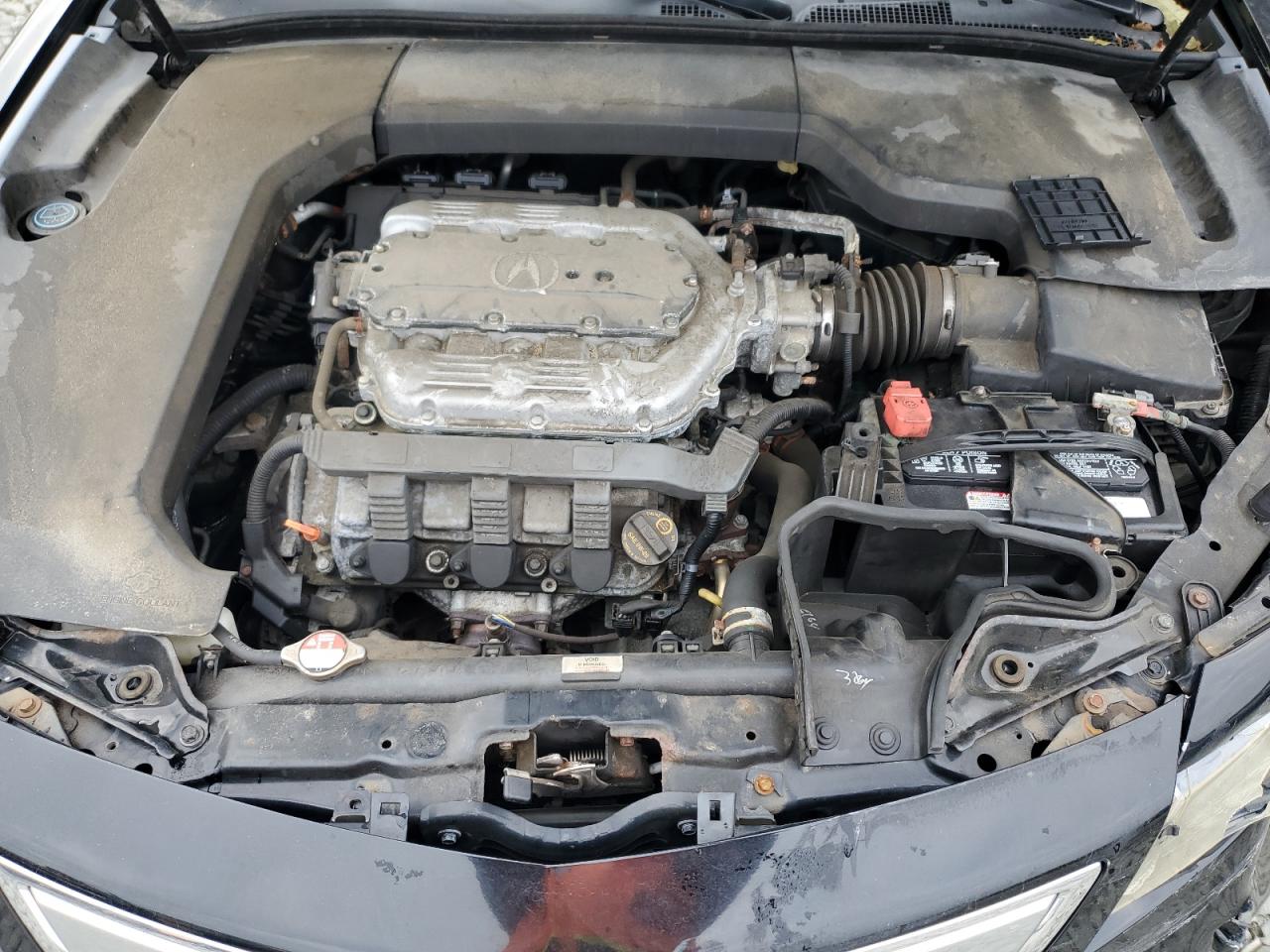 2012 Acura Tl VIN: 19UUA8F52CA010772 Lot: 81450945