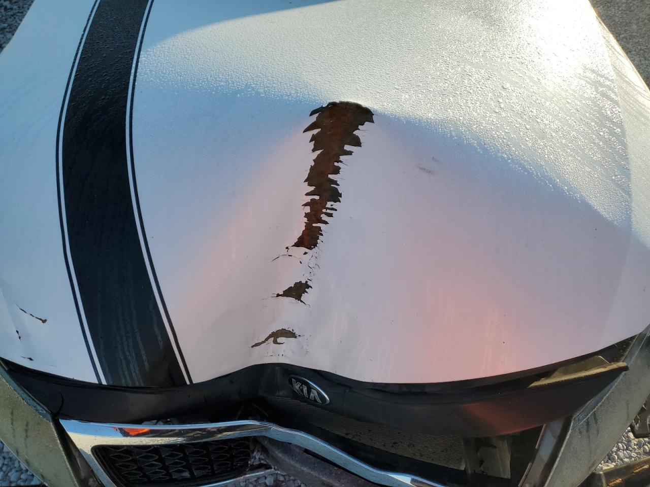 2012 Kia Optima Lx VIN: KNAGM4A79C5273836 Lot: 84215785