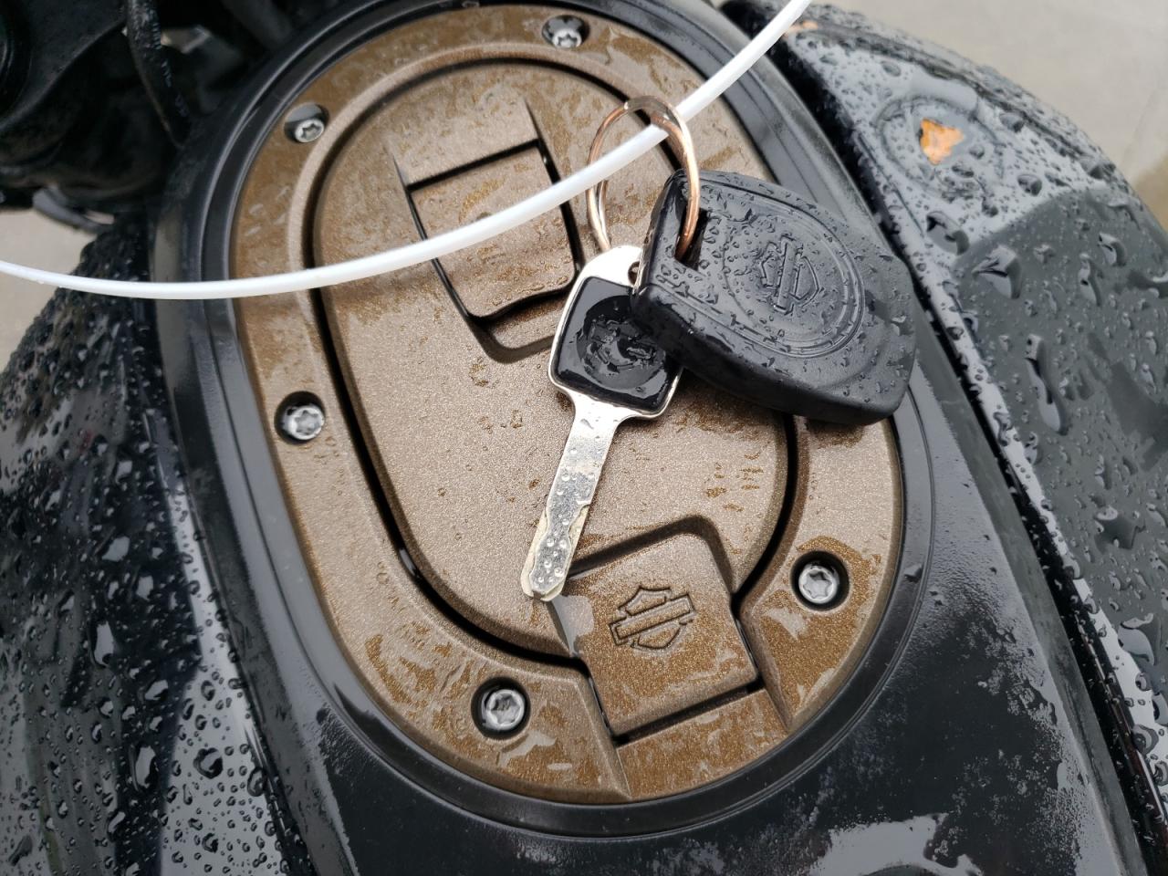 2021 Harley-Davidson Rh1250 S VIN: 1HD1ZC416MB312038 Lot: 80092075