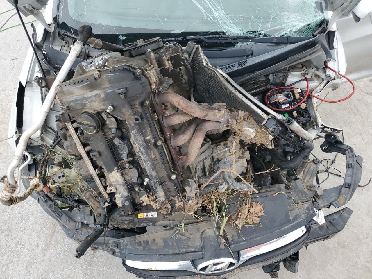 2013 Hyundai Elantra Gls VIN: KMHDH4AE0DU525081 Lot: 83808395