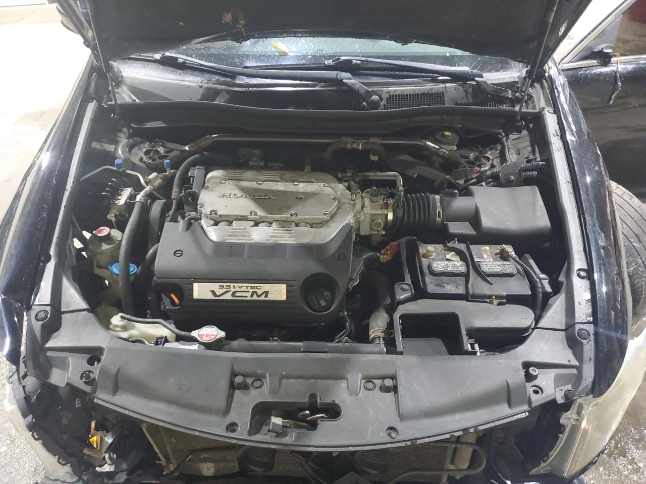 2009 Honda Accord Exl VIN: 1HGCP36859A013441 Lot: 81600545