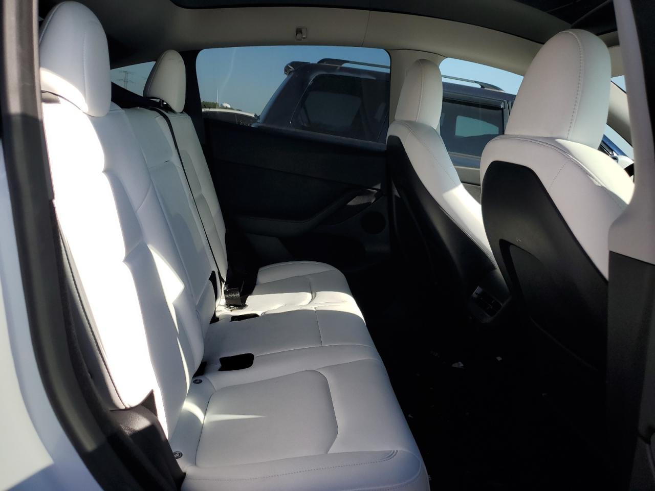 2023 Tesla Model Y VIN: 7SAYGDEE9PF764387 Lot: 81735155