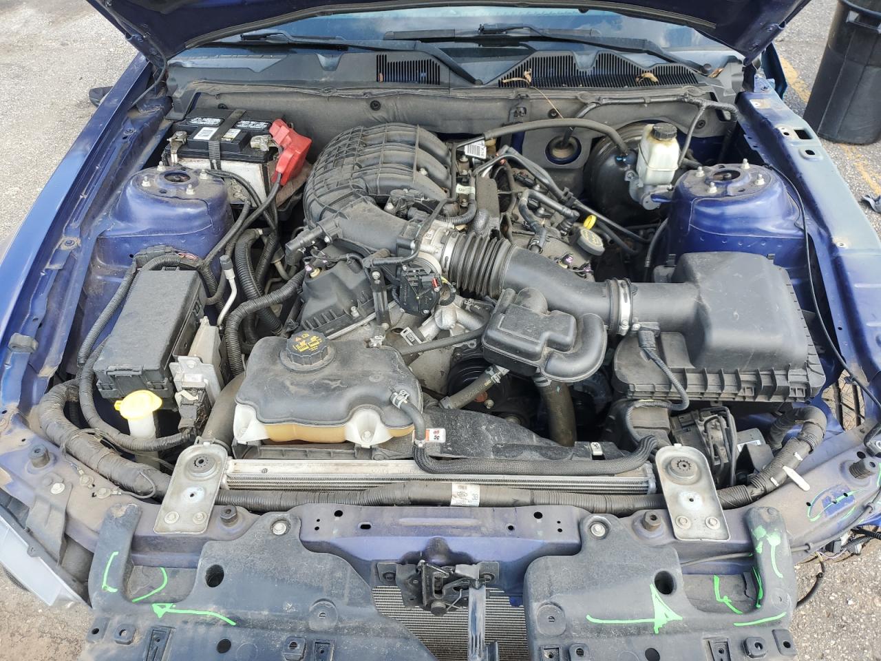 2014 Ford Mustang VIN: 1ZVBP8AM6E5282561 Lot: 81395725