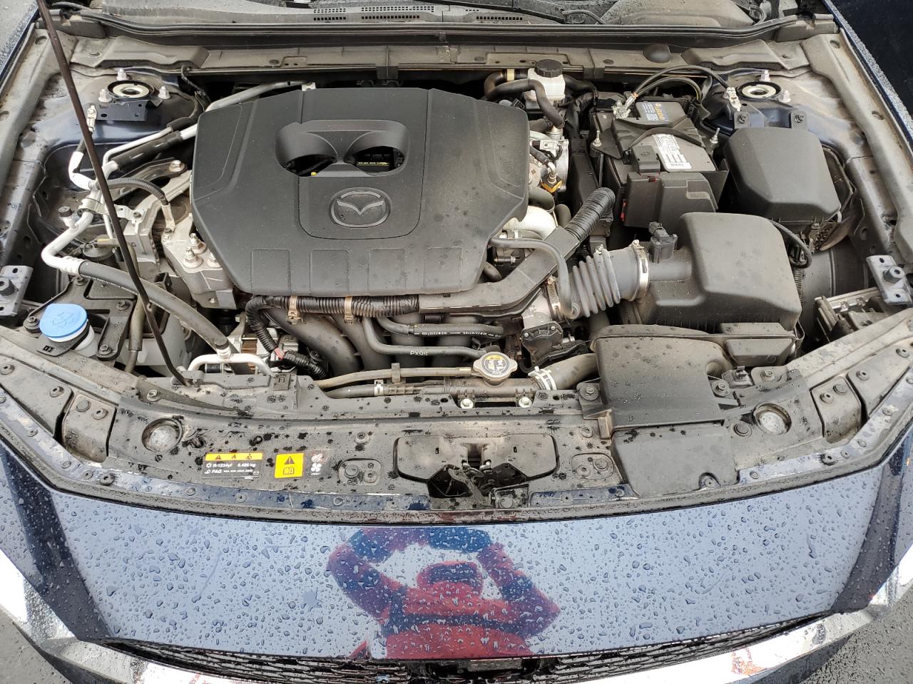 2023 Mazda 3 Premium VIN: 3MZBPBDM9PM356612 Lot: 81196055