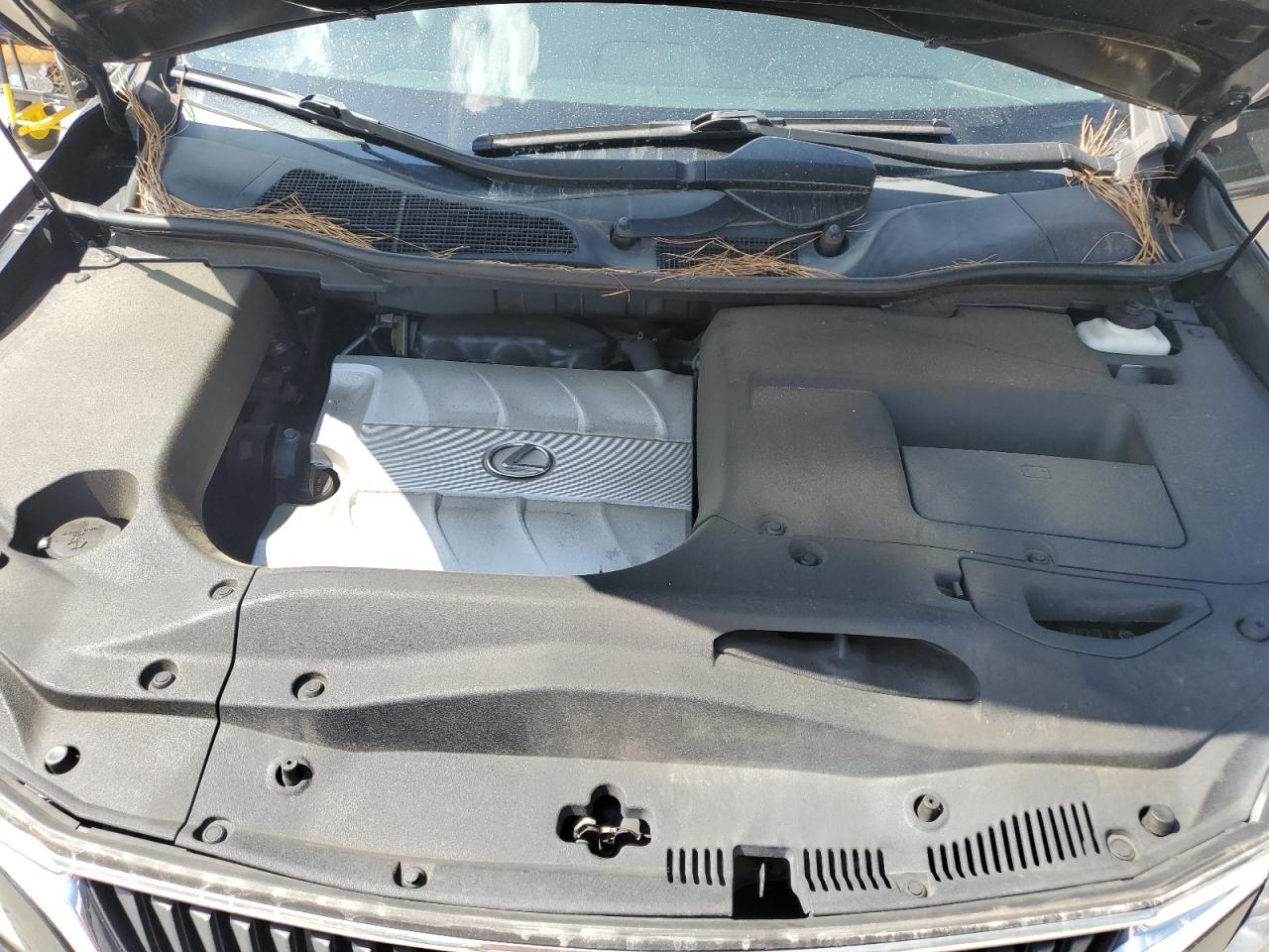 2010 Lexus Rx 350 VIN: 2T2BK1BA4AC078122 Lot: 81132635