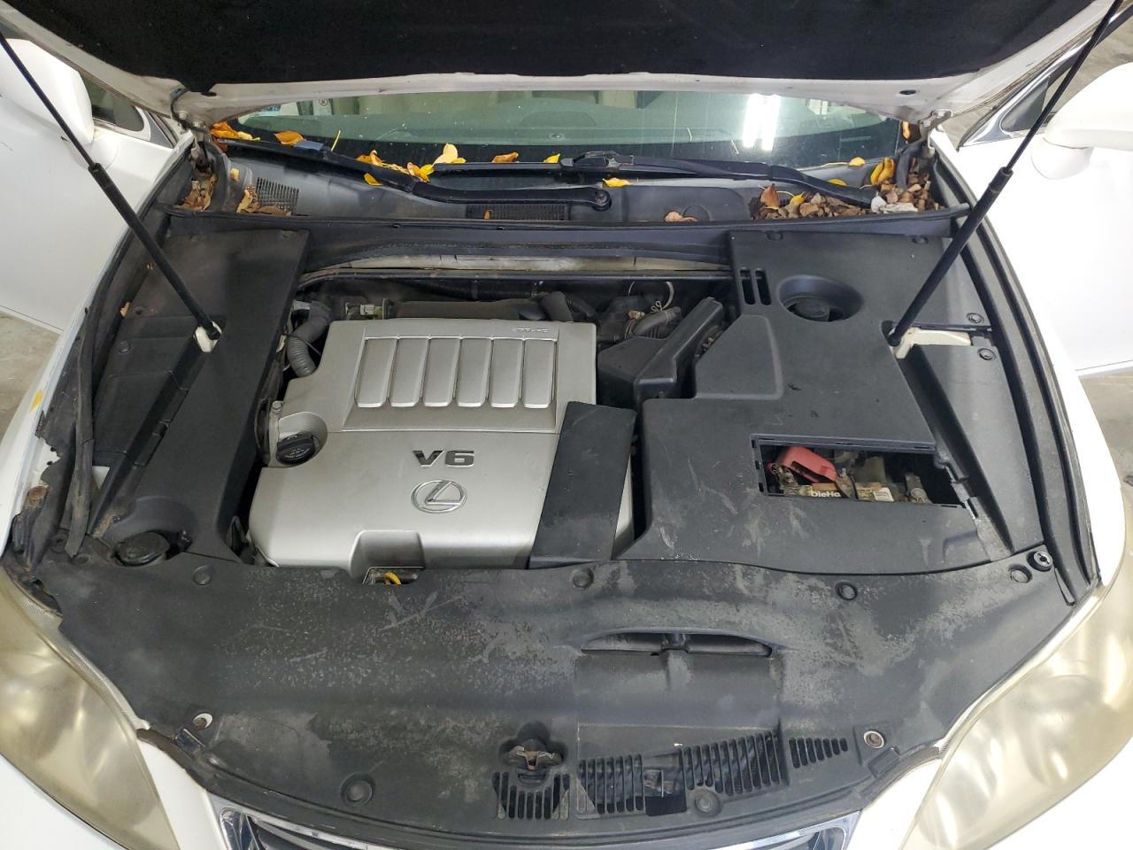 2007 Lexus Es 350 VIN: JTHBJ46GX72021033 Lot: 81728455