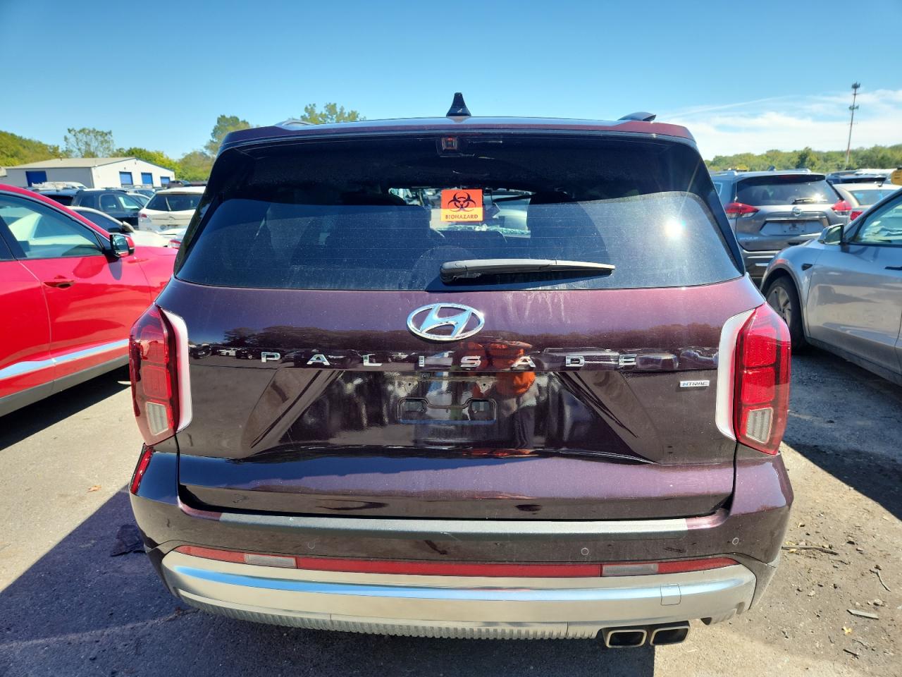 2024 Hyundai Palisade Calligraphy VIN: KM8R7DGE6RU726619 Lot: 71977655
