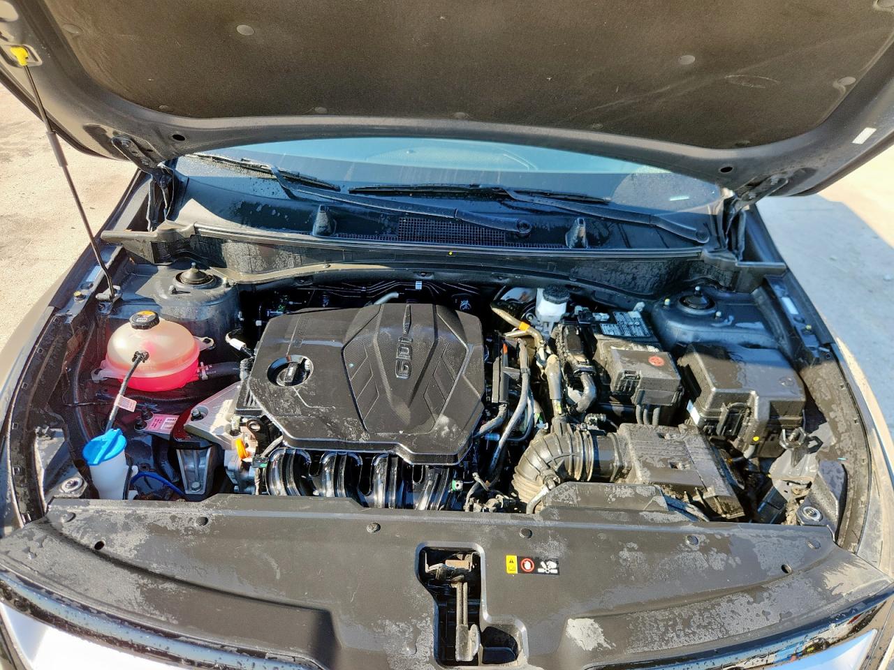 2023 Kia Sportage Ex VIN: 5XYK33AF8PG095979 Lot: 71423245