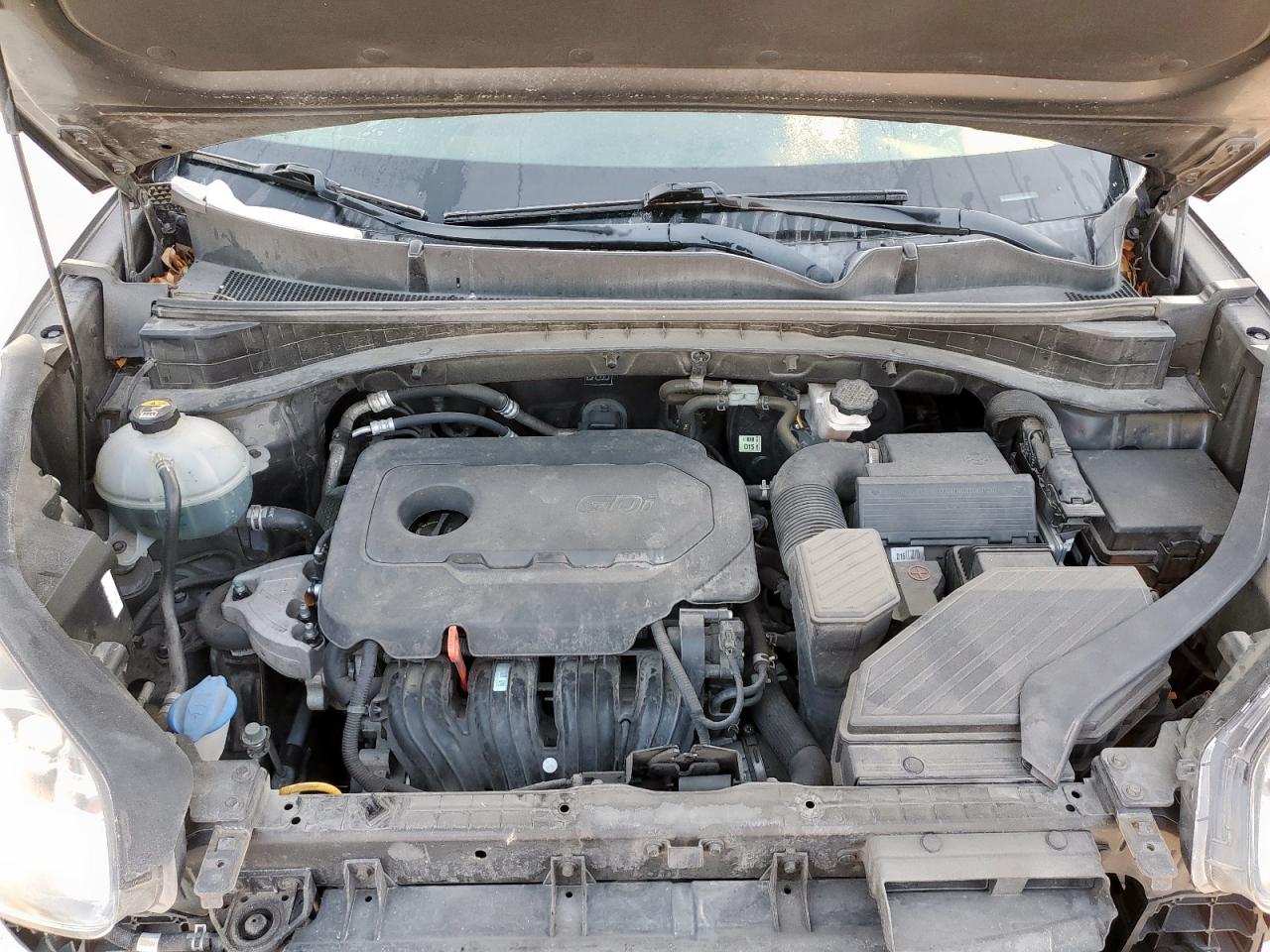 2019 Kia Sportage Ex VIN: KNDPN3AC1K7561070 Lot: 80337725