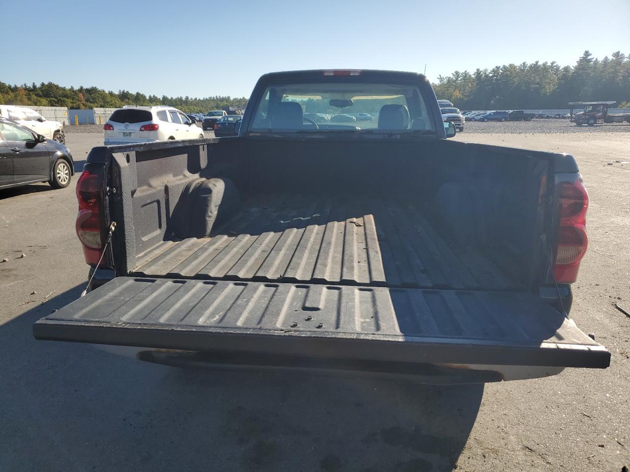 2005 Chevrolet Silverado K1500 VIN: 1GCEK14X05Z134233 Lot: 81896795