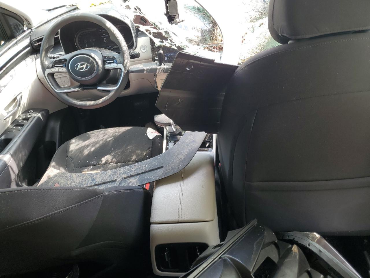 2024 Hyundai Tucson Sel VIN: 5NMJB3DE8RH306950 Lot: 71283915