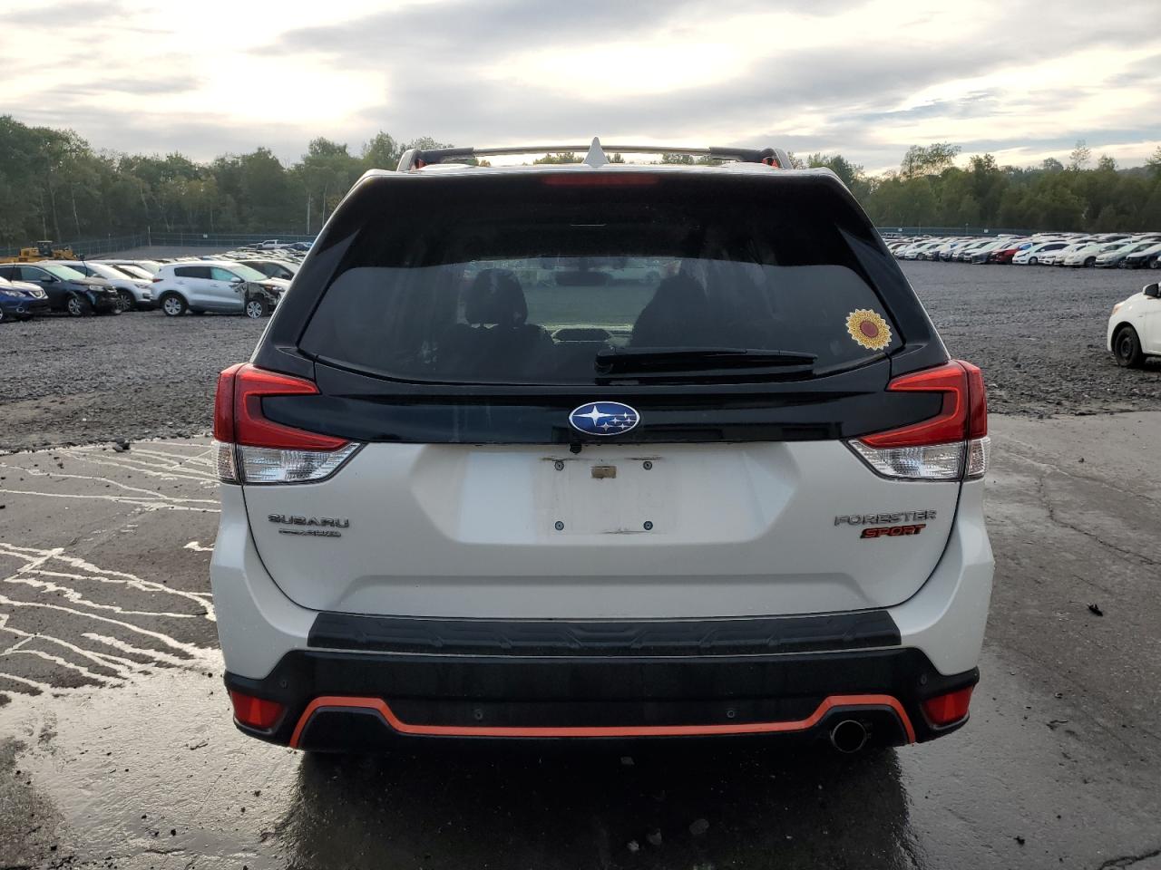 2019 Subaru Forester Sport VIN: JF2SKAKC0KH562437 Lot: 84178615