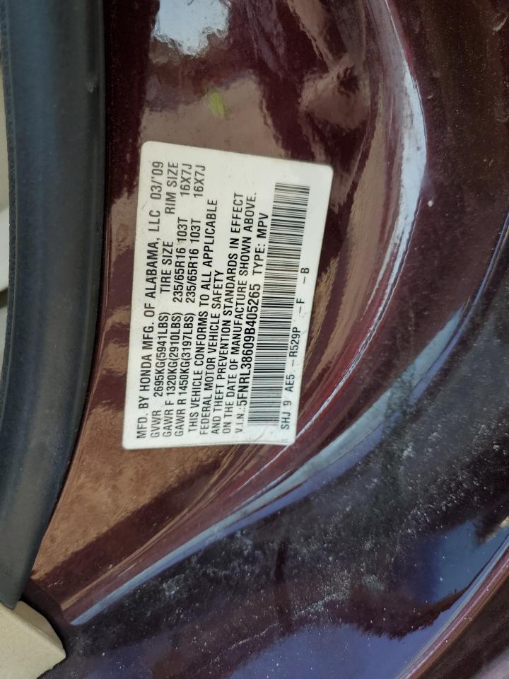 2009 Honda Odyssey Exl VIN: 5FNRL38609B405265 Lot: 84367075