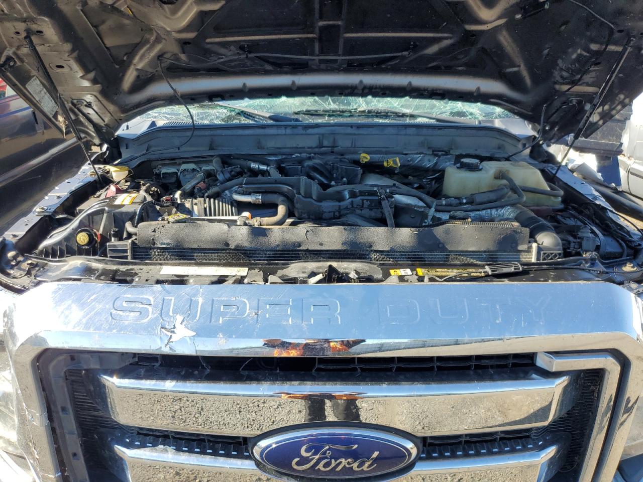 2014 Ford F350 Super Duty VIN: 1FT8W3BT0EEA97754 Lot: 71704545