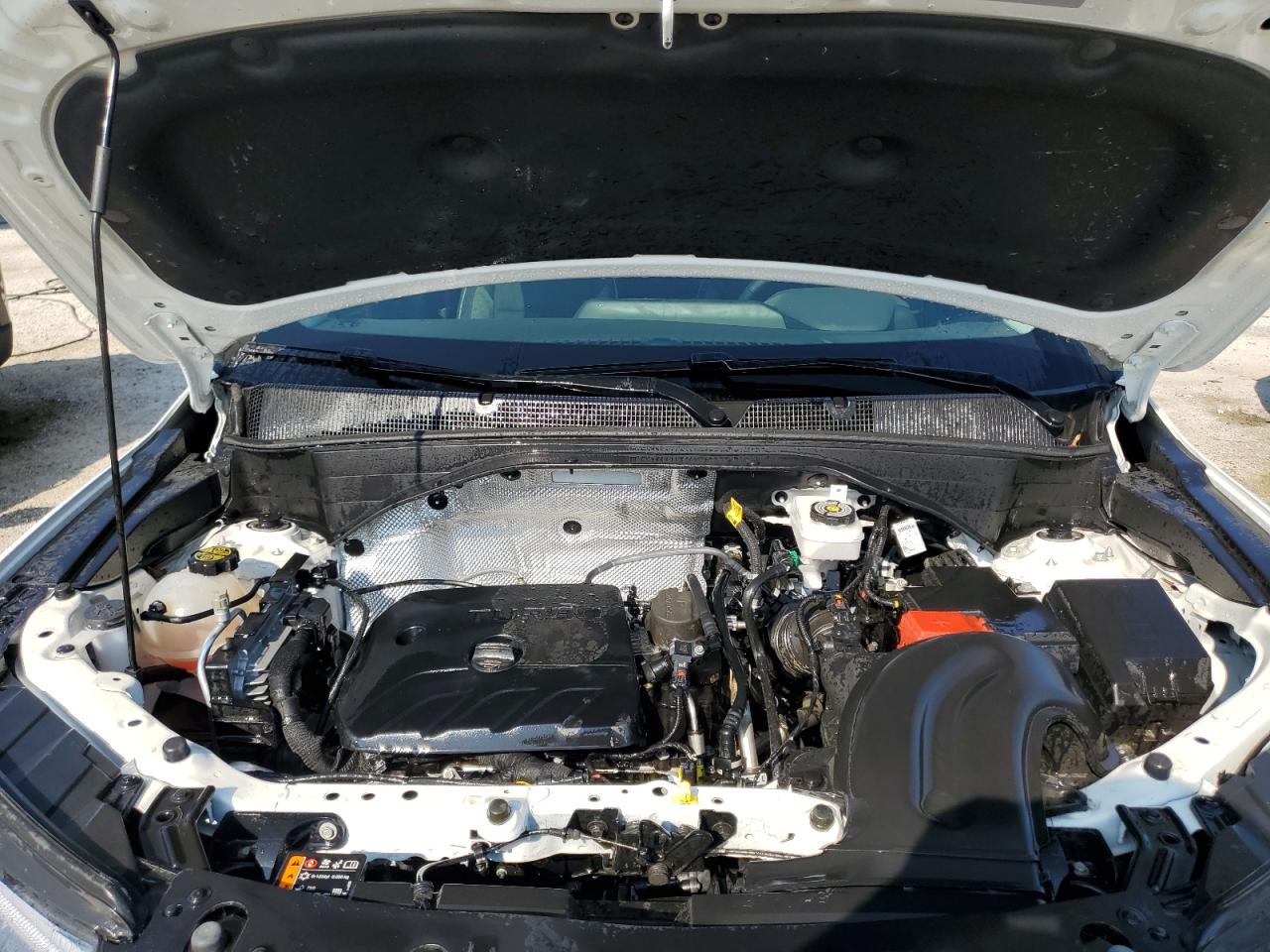 2024 Chevrolet Trailblazer Lt VIN: KL79MRSL7RB190367 Lot: 80314325