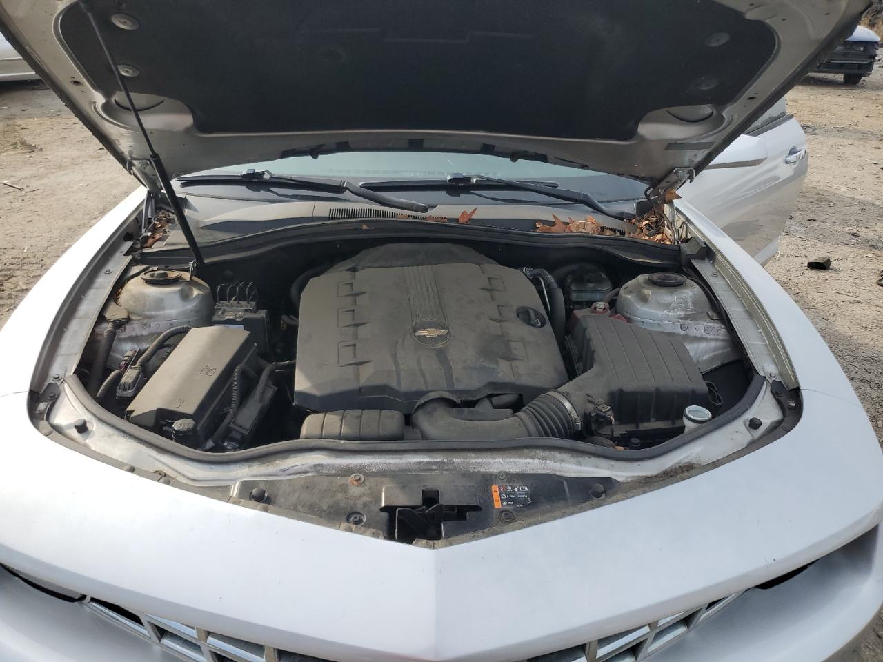 2011 Chevrolet Camaro Lt VIN: 2G1FB1ED8B9204021 Lot: 81731485